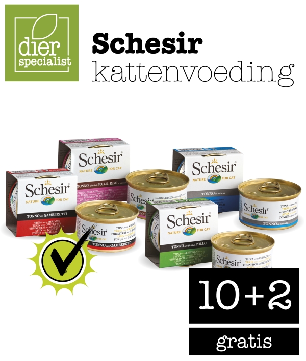 Schesir kattenvoeding