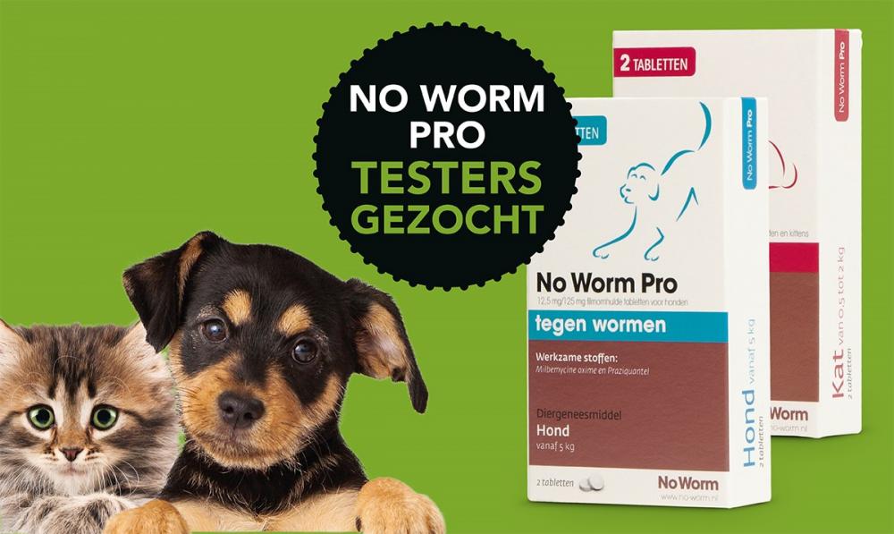 Exil No Worm Pro Winactie