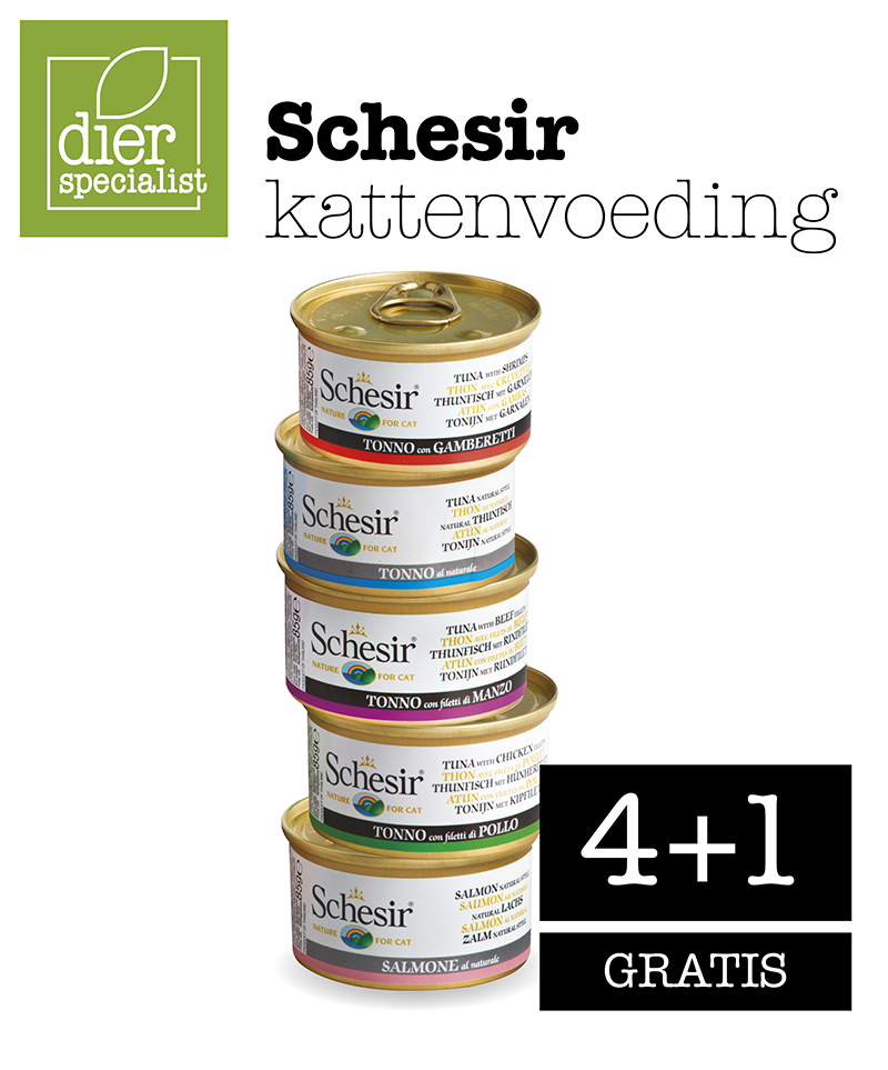 Schesir kattenvoeding